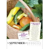 Stimmungsbild zu Obst und Gemüse haben immer Saison 2026 - Wandkalender