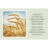 Stimmungsbild zu 62 Segens- und Friedensworte - Karten