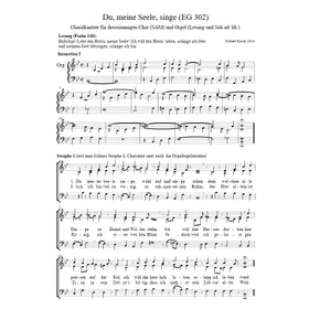 Produktbild des Artikels Du meine Seele singe (Choralkantate) (Noten - Download)