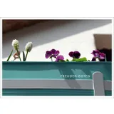 Stimmungsbild zu Postkartenbuch "GLÜCK:WUNSCH"