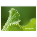 Stimmungsbild zu Postkartenbuch "Herzensmensch"