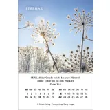 Stimmungsbild zu Ein Jahr der Hoffnung 2026 - Minikalender