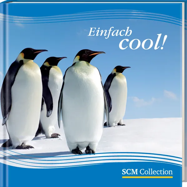 Produktbild des Artikels Einfach cool! (Buch - Hardcover)