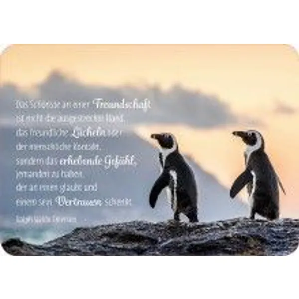 Produktbild des Artikels Postkarte - Das Schönste an einer Freundschaft... (Schreibwaren)