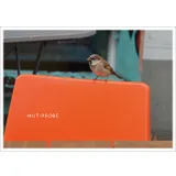 Stimmungsbild zu Postkartenbuch "GAST:GESCHENK"