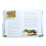 Stimmungsbild zu Das illustrierte Handbuch zur Bibel