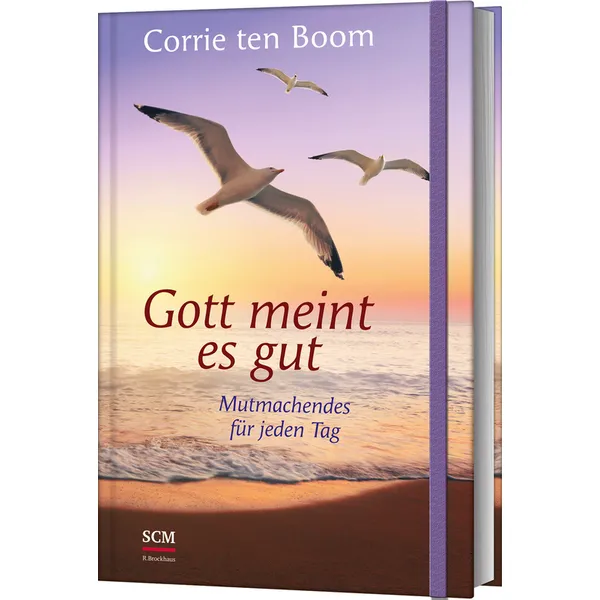 Produktbild des Artikels Gott meint es gut (Buch - Hardcover)