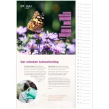 Stimmungsbild zu EinBlick 2026