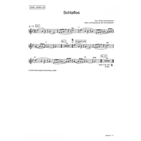 Produktbild des Artikels Die Nacht der Geschenke (Engl. Horn in G) (Noten - Download)