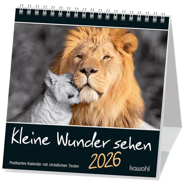 Produktbild des Artikels Kleine Wunder sehen 2026 - Postkartenkalender (Kalender - Spiralbindung)
