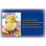 Stimmungsbild zu Tischgebete für die ganze Familie - Aufstellbuch