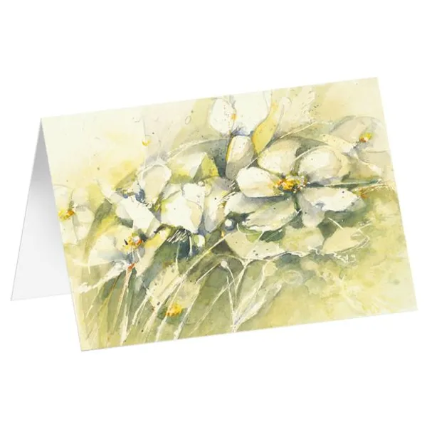Produktbild des Artikels Kunstkarten "Weiße Anemonen" 6 Stk. (Schreibwaren)
