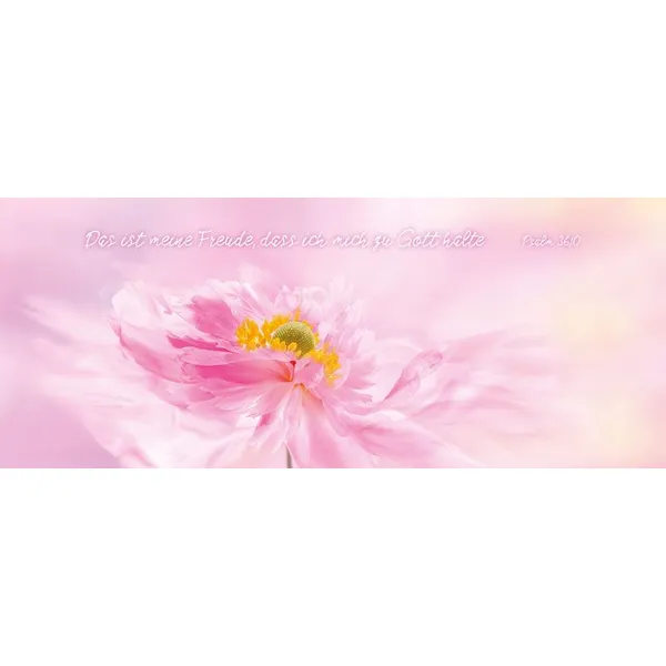 Produktbild des Artikels Metallschild lang - Rose Blüte ()