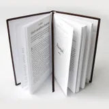 Stimmungsbild zu Wahrheit für heute