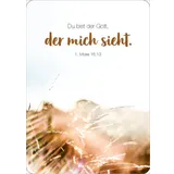 Stimmungsbild zu Königstochter - Blechdose