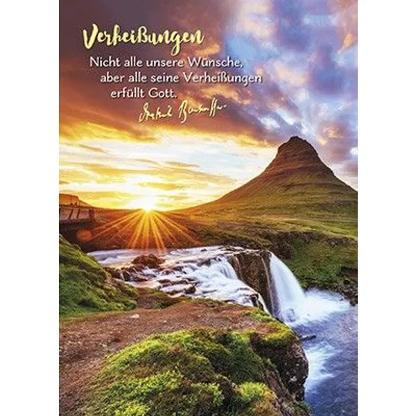 Produktbild des Artikels Postkarten: Nicht alle unsere Wünsche, 4 Stück (Schreibwaren)