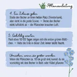 Stimmungsbild zu Pflanz-Set Kinder "Mein kleines blaues Wunder"