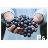 Stimmungsbild zu Ps. - Postkartenbuch