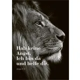 Stimmungsbild zu In seiner Hand geborgen - Blechdose