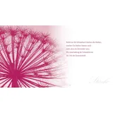 Stimmungsbild zu Behütet und getröstet