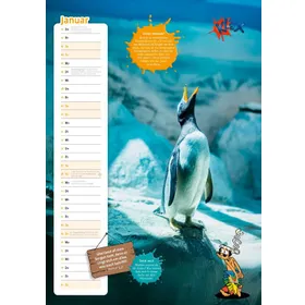Produktbild des Artikels Der ultracoole KLÄX-Kalender 2026 (Kalender - Geheftet)