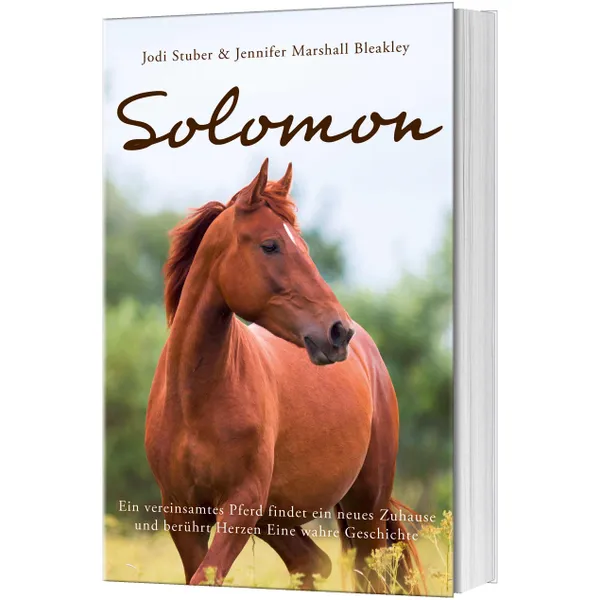 Produktbild des Artikels Solomon - Clubausgabe (Buch - Klappenbroschur)