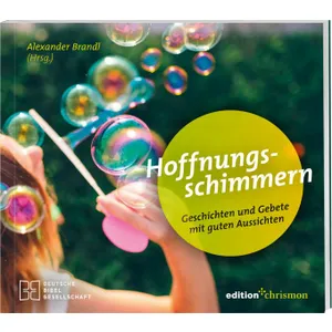 Produktbild des Artikels Hoffnungsschimmern (Buch - Klappenbroschur)