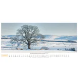 Stimmungsbild zu Life is more 2026 - Panoramakalender