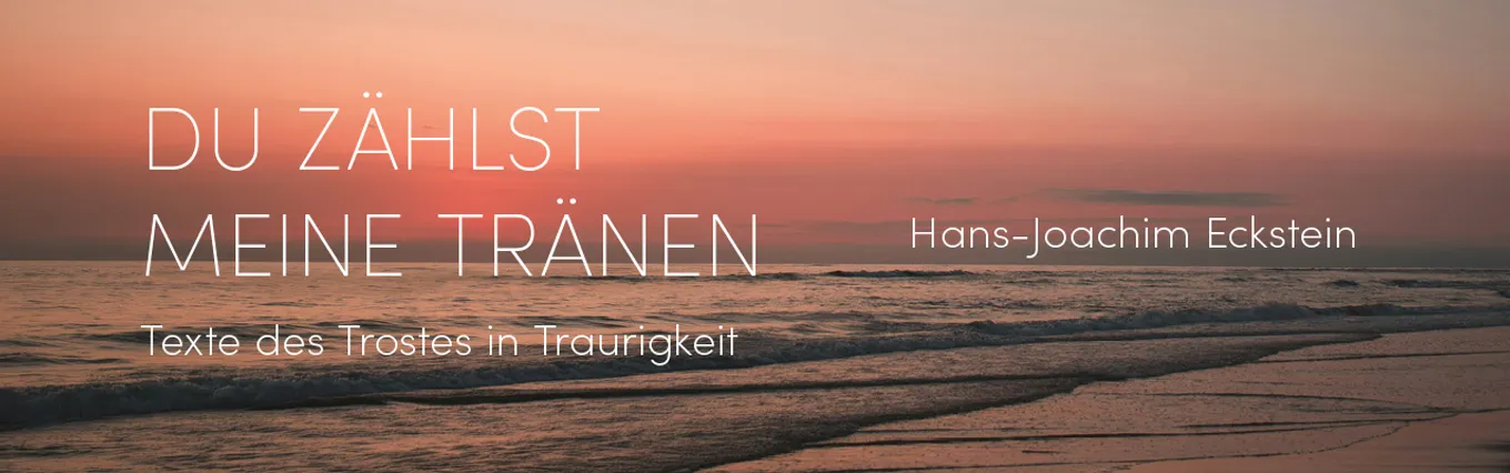 Banner zu Du zählst meine Tränen