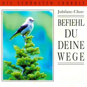 Produktbild des Artikels Befiehl du deine Wege (MP3-Album - Download)