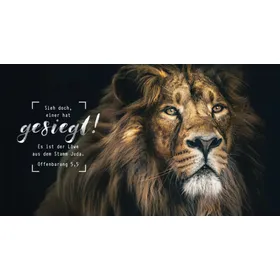 Produktbild des Artikels Metallschild "Löwe" ()