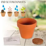 Stimmungsbild zu Blumenüberraschung "Happy Birthday"