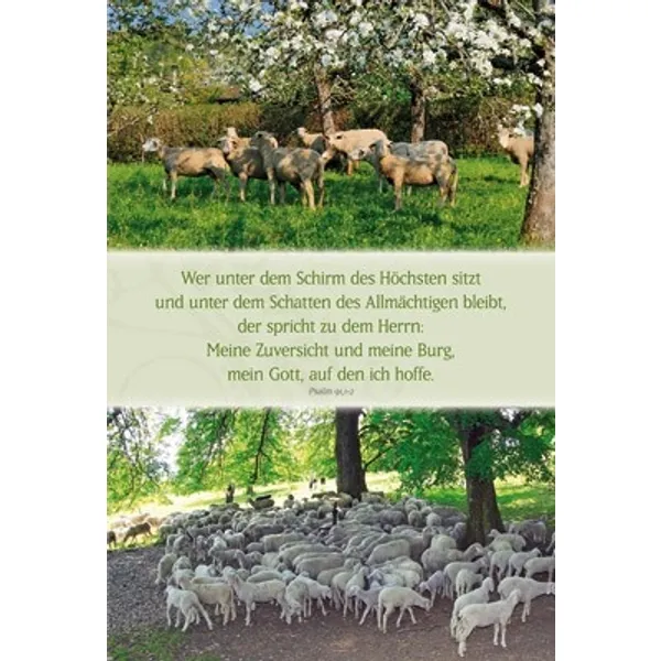 Produktbild des Artikels Faltkarte: Wer unter dem Schirm - neutral (Schreibwaren)