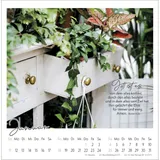 Stimmungsbild zu Kleine Auszeit im Grünen 2026 - Postkartenkalender