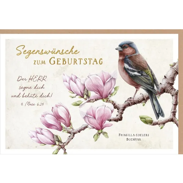 Produktbild des Artikels Faltkarte "Segenswünsche zum Geburtstag" Vogel (Schreibwaren)