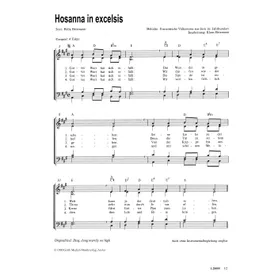 Produktbild des Artikels Hosanna In Excelsis (Noten - Download)
