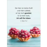 Stimmungsbild zu Du bist geliebt - Blechdose