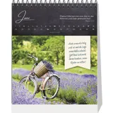 Stimmungsbild zu Meine Oasenzeiten 2026 - Aufstellkalender