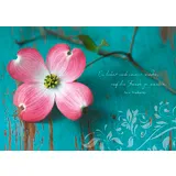 Stimmungsbild zu Tausend Geschenke - Postkartenbuch