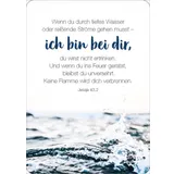 Stimmungsbild zu Königstochter - Blechdose