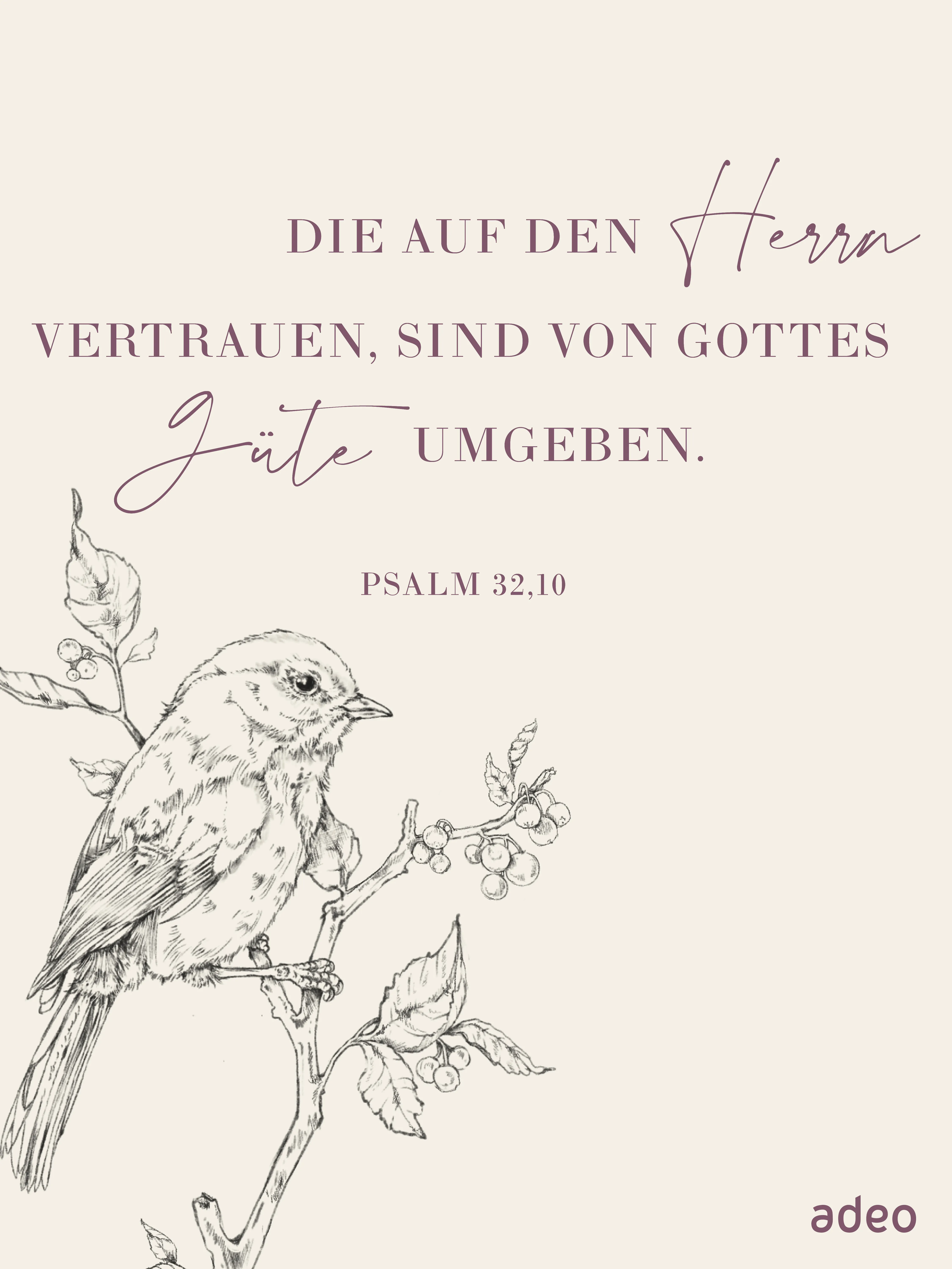 Zitat