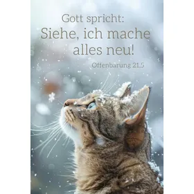 Produktbild des Artikels Jahreslosung 2026 - Poster A3 "Katze" ()