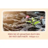 Stimmungsbild zu Schutz und Bewahrung - Karten