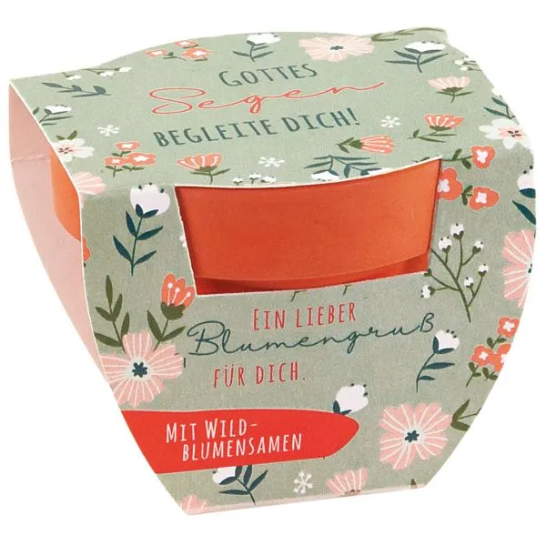 Produktbild des Artikels Blumenüberraschung "Gottes Segen begleite dich" ()