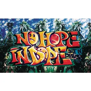 Produktbild des Artikels No Hope in Dope (Buch - Kartoniert)