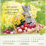 Stimmungsbild zu Kleine Katzen-Tatzen 2026 - Postkartenkalender