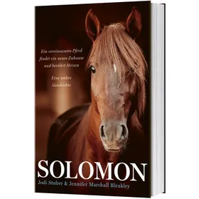 Produktbild des Artikels Solomon (Buch - Klappenbroschur)