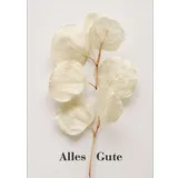 Stimmungsbild zu Gottes Segen - Postkartenset