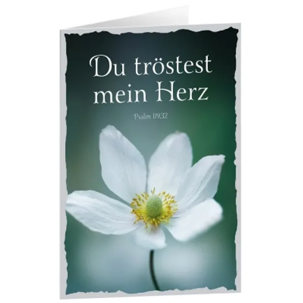 Produktbild des Artikels CD-Card: Du tröstest mein Herz (Schreibwaren)