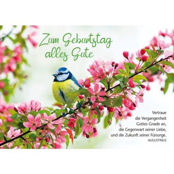 Produktbild des Artikels Postkarten: Zum Geburtstag alles Gute, 4 Stück (Schreibwaren)